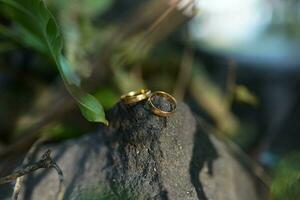 wedding ring on stone in the morning in the forest photo