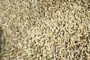 background of corn stalks being dried in the field during the day photo