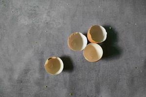 egg shells lined up on concrete background photo