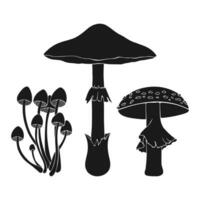 Set of silhouettes of poisonous mushrooms Amanita phalloides Mycena toadstool fly agaric, isolated on white background. vector