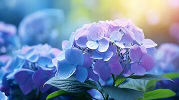 flower for nature background photo