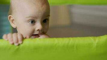 weinig baby jongen staat in kinderbox. portret van schattig Kaukasisch 9 maand Bij huis. video