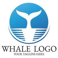 Logo image design illustration of a whale. vector