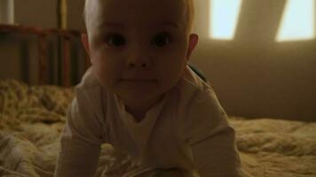 Adorable toddler crawling on bed in sunny room. video