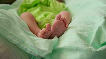 pies de bebé recién nacido. video