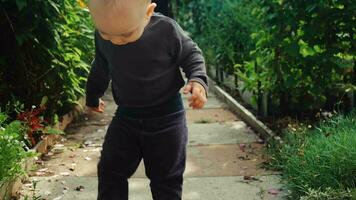 bambino piccolo bambino in esecuzione lungo sentiero nel Giardino dietro la casa giardino. video