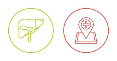 Liver and Location Icon vector