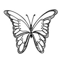 Vector drawing of Butterfly. Hand drawn linear illustration of flying insect in black and white colors. Vintage outline sketch for icon or logo painted by inks. Etching for greeting cards