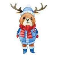 watercolor drawing, cute character Christmas deer in winter clothes. vector