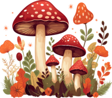 fungo foresta illustrazione png