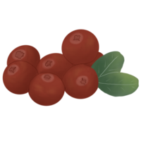 tranbär med blad png