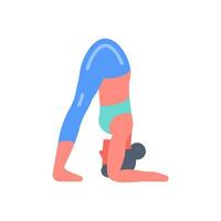 Dolphin Pose Icon in vector. illustration vector