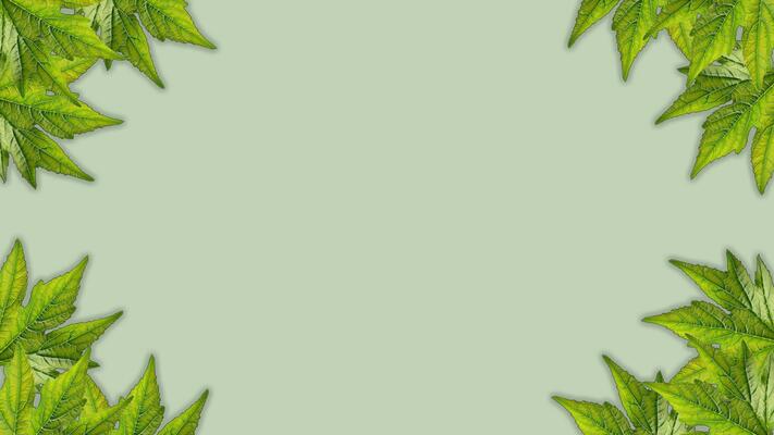 Cute Green Background Stock Photos, Images and Backgrounds for Free