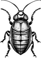 art cockroach cartoon vector