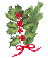 Christmas bouquet of holly branch and pine branch with red bow.Botanical illustration for holiday decoration. Merry Christmas, New Year.Holiday composition for design, print.Hand drawn isolated art. png