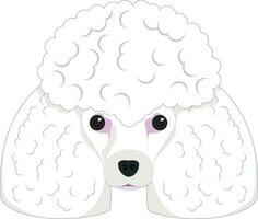 caniche perro aislado en blanco antecedentes vector ilustración