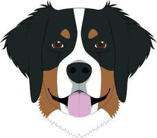 Bernese Mountain Dog isolated on white background vector illustration