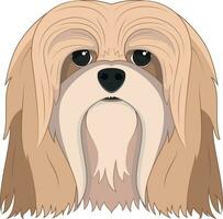 lhasa apso perro aislado en blanco antecedentes vector ilustración