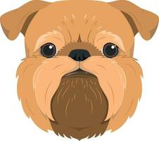 Brussels Griffon dog isolated on white background vector illustration