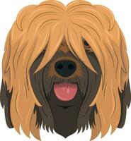 Briard or Brie Shepherd dog isolated on white background vector illustration