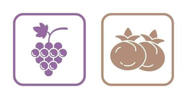 uvas y tomate icono vector