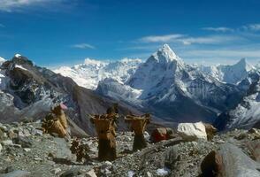 Sherpanis carrying climbing loads photo