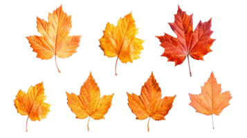 Ai, Ai generated, Autumn leaves isolated on transparent background. Vibrant fall foliage collection png