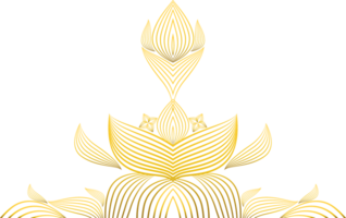 dorado línea flor pétalo decoración png