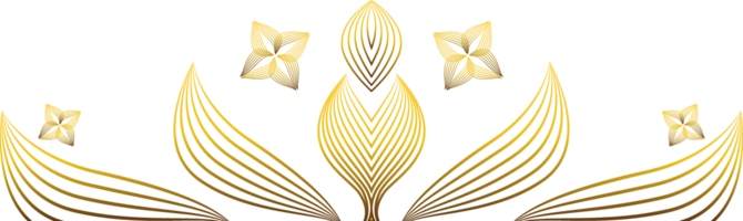 golden line flower petal decoration png