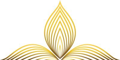 golden line flower petal decoration png