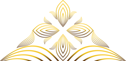 golden line flower petal decoration png