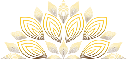 golden line flower petal decoration png