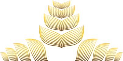 golden line flower petal decoration png