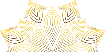 goldene Blumendekoration png