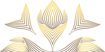 gouden bloem decoratie png