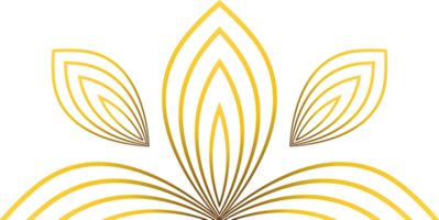 golden line flower petal decoration png