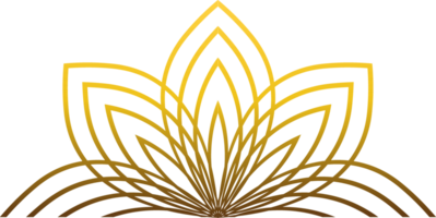 golden line flower petal decoration png