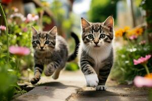 gato corriendo en el jardín. ai generado foto