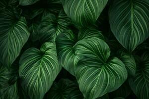 abstract tropical leaves texture, nature background, tropical leaf. ai generated photo