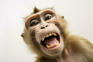funny photos of monkeys taking selfies. ai generated