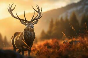 Red Deers in morning Sun. ai generated photo