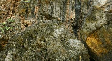 View of sandstone cliffs on a summer day at the Beach photo