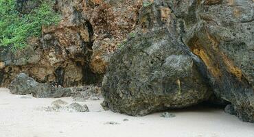 panoramic views of the beach, coral mountains photo