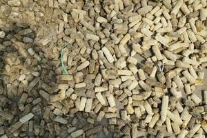 background of corn stalks being dried in the field during the day photo