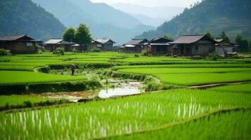 Chinese rural area, mature rice ai generate photo