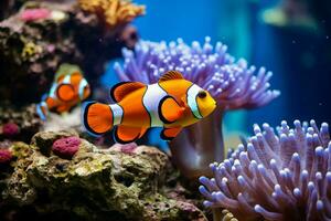 clownfish and blue malawi cichlids swimming near coral ai generated photo