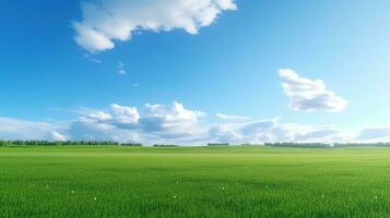 Natural Scenic Panorama Green Field with Blue Sky photo