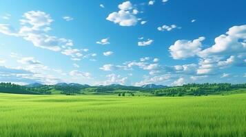 Natural Scenic Panorama Green Field with Blue Sky photo