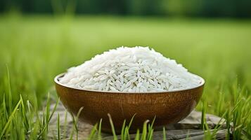 Asian white rice or uncooked white rice with the rice field back ai generate photo