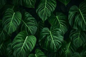 resumen tropical hojas textura, naturaleza fondo, tropical hoja. ai generado foto